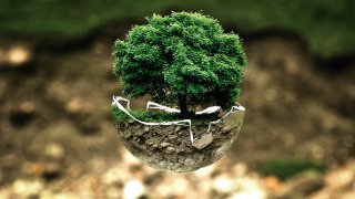 Stilisierung eines Baumes für den Umweltschutz