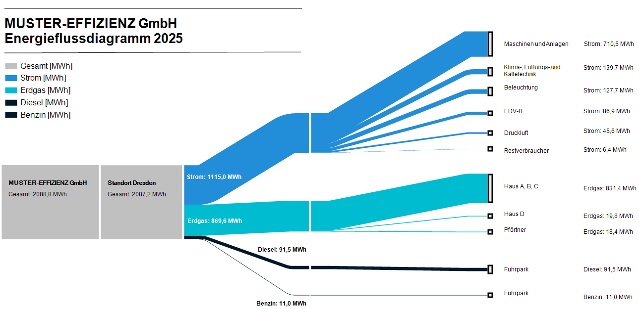 Energieflussdiagramm Analyze HSE: Visualisierung des Energieverbrauchs nach Kategorien Strom, Erdgas, Diesel und Benzin.